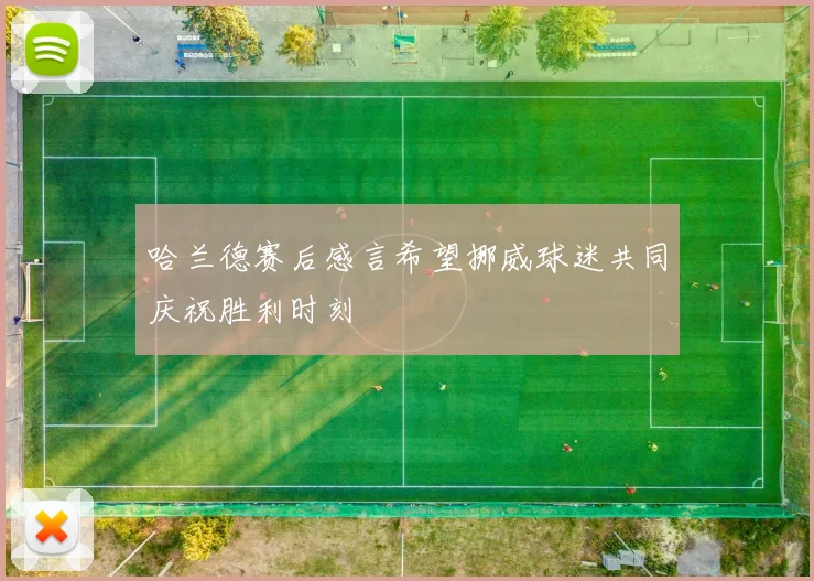 哈兰德赛后感言希望挪威球迷共同庆祝胜利时刻
